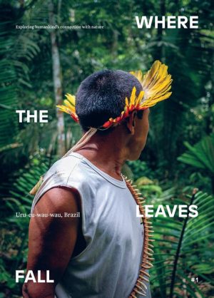 WHERE THE LEAVES FALL Issue 1