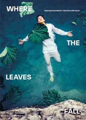 WHERE THE LEAVES FALL Issue 5