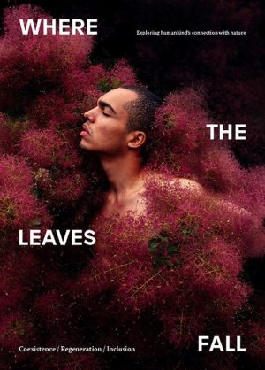 WHERE THE LEAVES FALL Issue 11